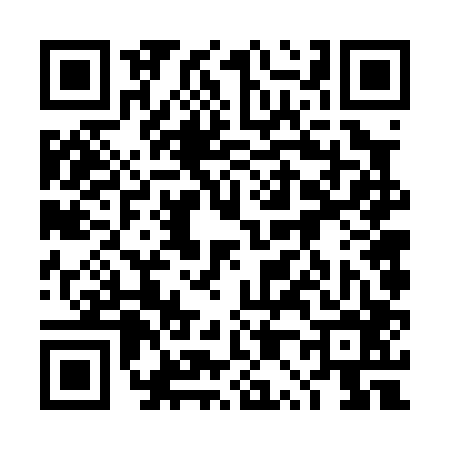 QR code for 4P6006S