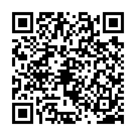 QR code for 4P66333