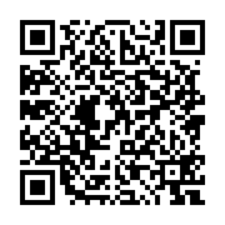 QR code for 4P8519V