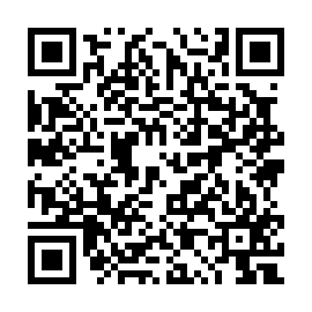 QR code for 4P9017F