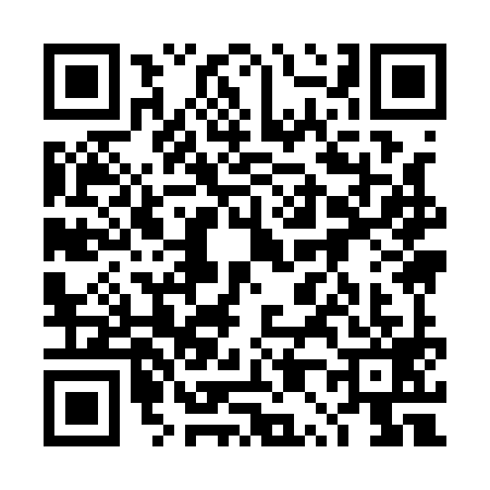 QR code for 4P91991