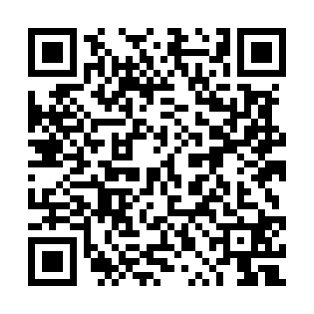 QR code for 4PMM207
