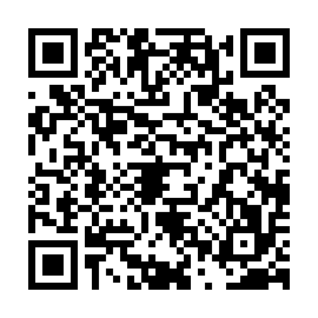QR code for 4PP0168