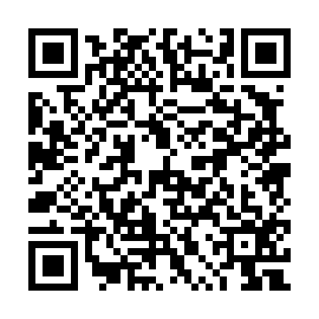 QR code for 4PP4162