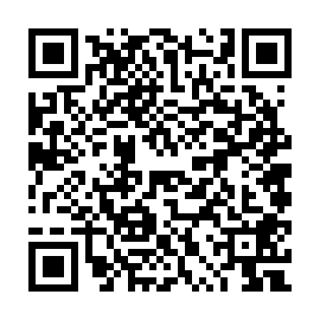QR code for 4PV2089