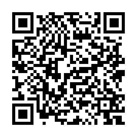 QR code for 4S95234