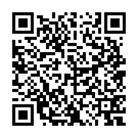QR code for 4SP6729