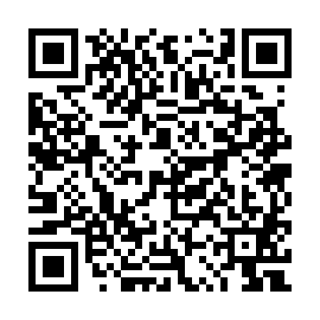 QR code for 4SS3818