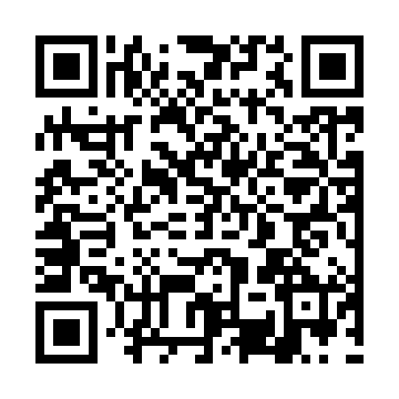 QR code for 4SS9809
