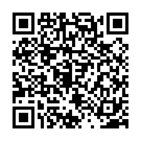 QR code for 4T9131S