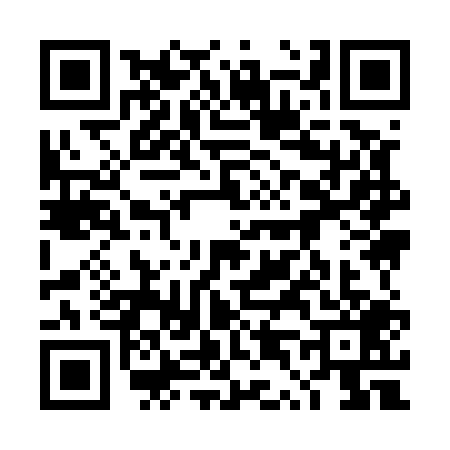 QR code for 4T95096