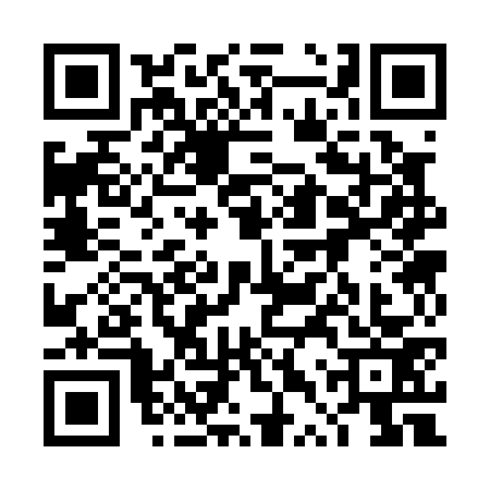 QR code for 4TS0739