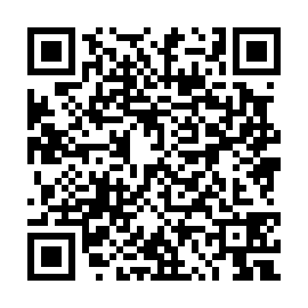 QR code for 4V80387