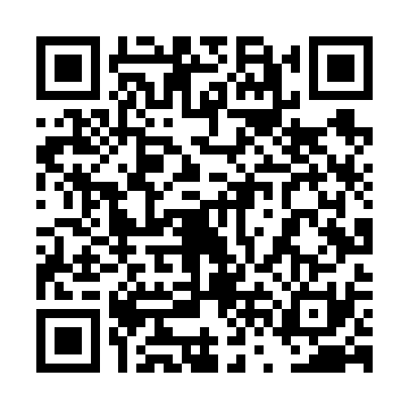 QR code for 4VLV313