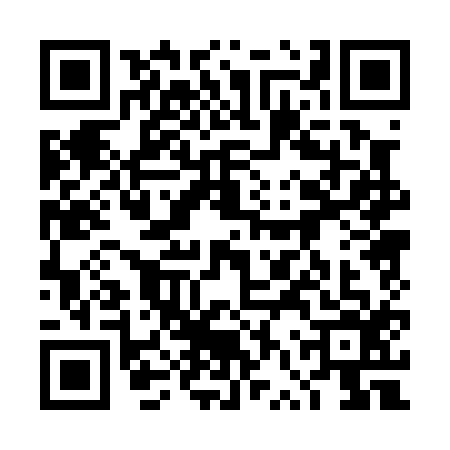 QR code for 4VP0161