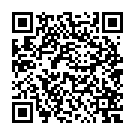 QR code for 4VP2079