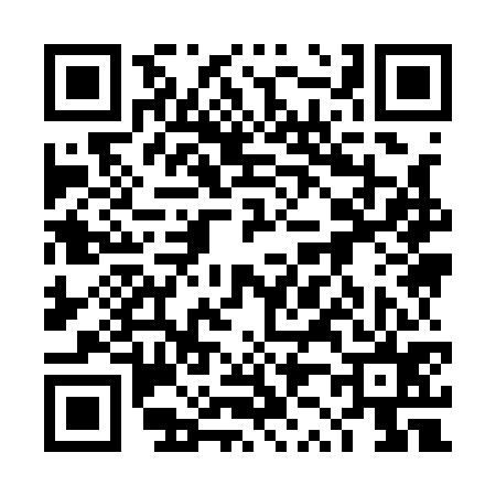 QR code for 4Z9175P
