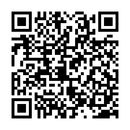 QR code for 4ZDJ419