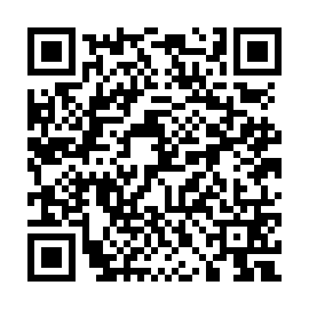 QR code for 50ANN13