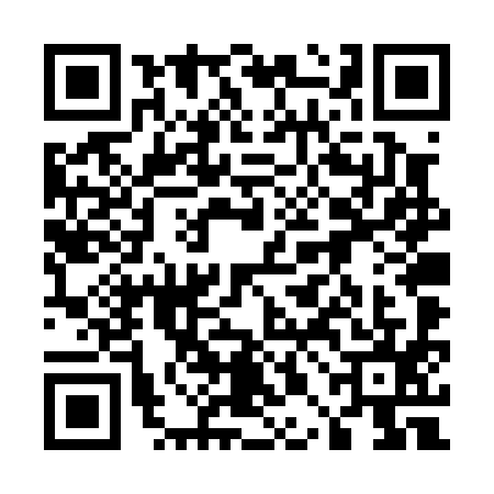 QR code for 50DP955