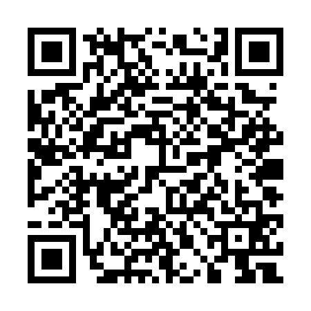 QR code for 50DPV13