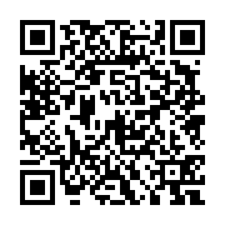 QR code for 50P4313