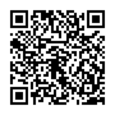 QR code for 50PM161