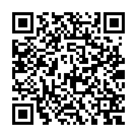 QR code for 50SS234