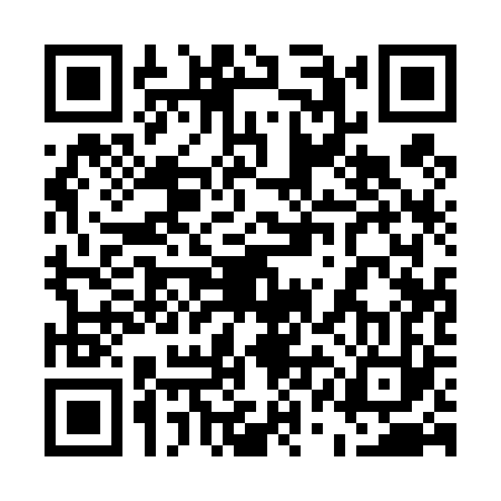 QR code for 51A423P