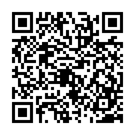 QR code for 51AN461