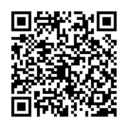 QR code for 51BP382