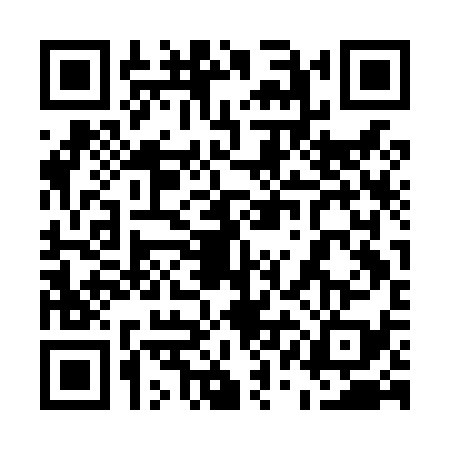 QR code for 51CL399