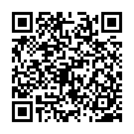 QR code for 51CZ403