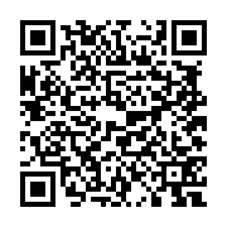 QR code for 51DL738