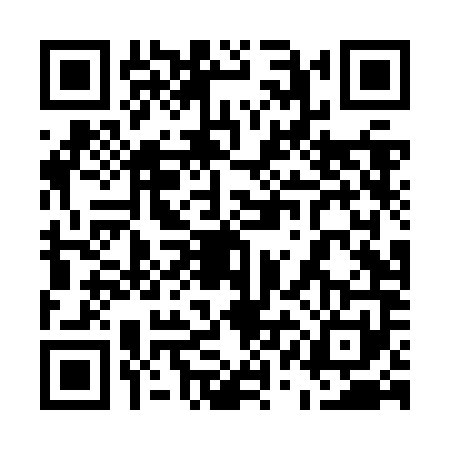 QR code for 51DZM11