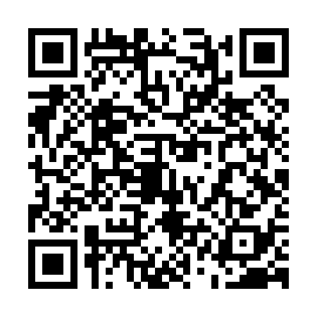 QR code for 51FP383