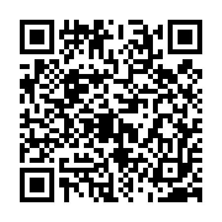 QR code for 51G453T