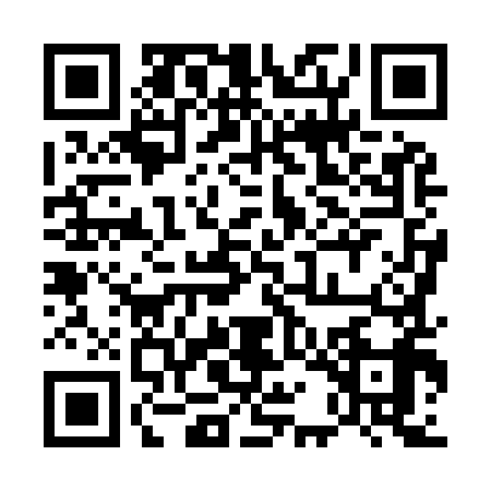 QR code for 51H9999