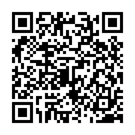 QR code for 51MPA36