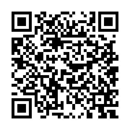 QR code for 51N165H