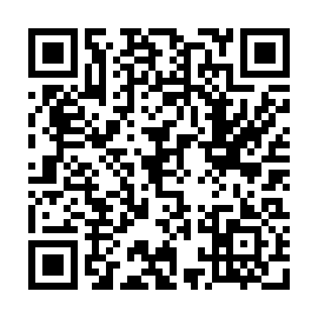 QR code for 51N233H