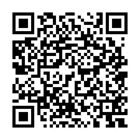 QR code for 51P3523