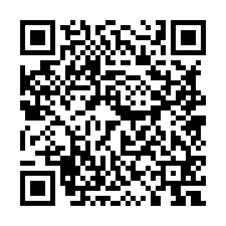 QR code for 51P860H