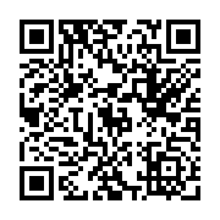 QR code for 51PC533