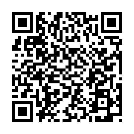 QR code for 51PD583