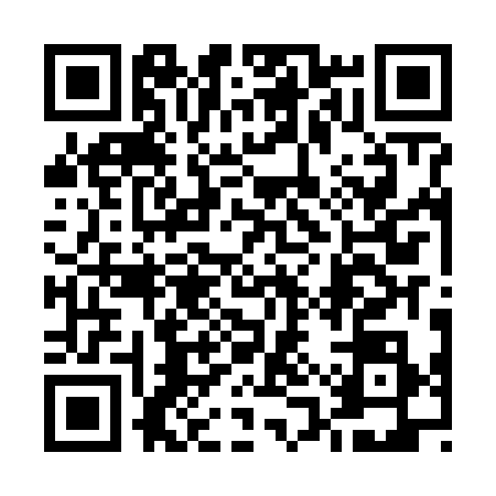 QR code for 51PF386