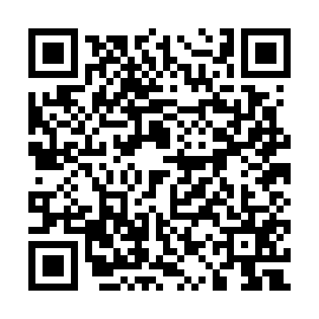 QR code for 51PG557