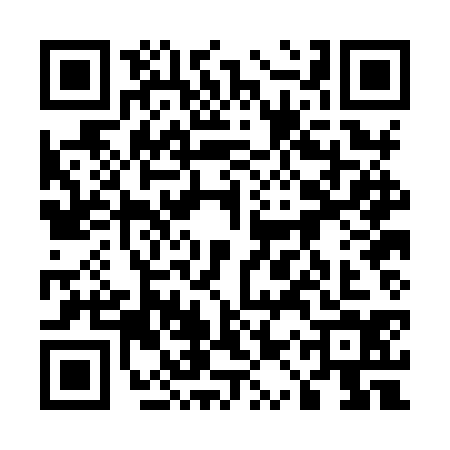 QR code for 51PHS43