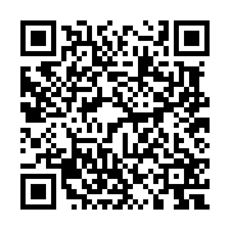 QR code for 51PL265
