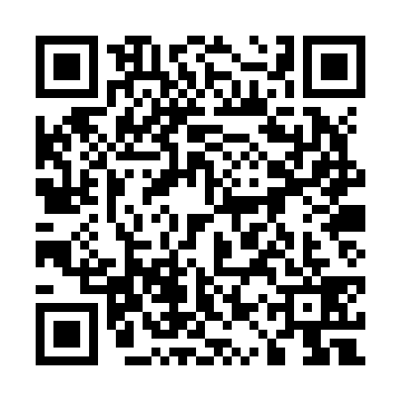 QR code for 51PZ397